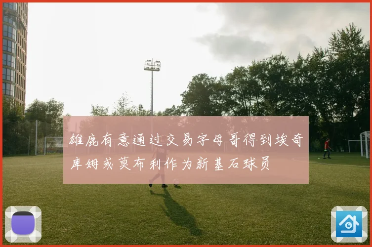 雄鹿有意通过交易字母哥得到埃奇库姆或莫布利作为新基石球员