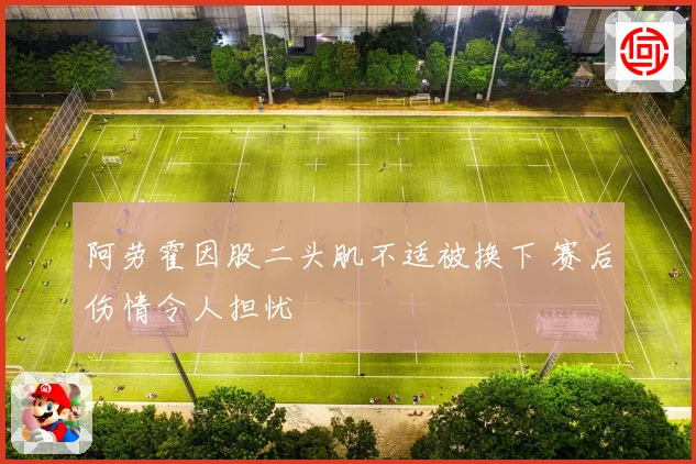阿劳霍因股二头肌不适被换下 赛后伤情令人担忧