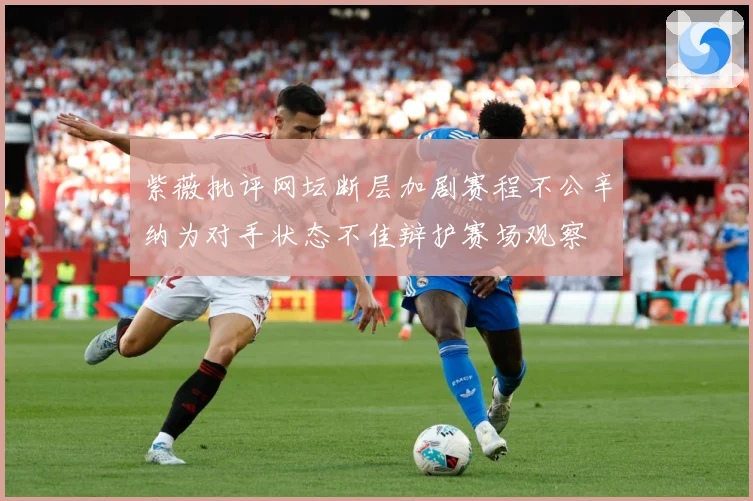 紫薇批评网坛断层加剧赛程不公辛纳为对手状态不佳辩护赛场观察